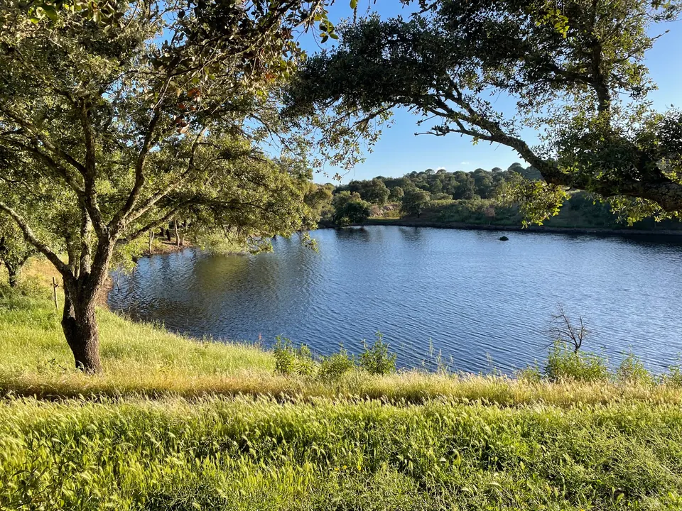 A tree-framed lake and grassy bank in the countryside near Portela Nova